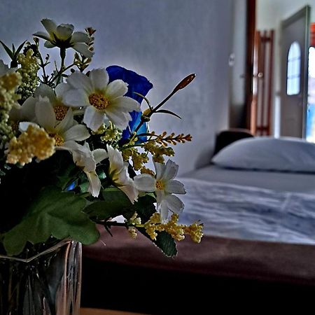 Sarajevo Apartment Aila Dış mekan fotoğraf